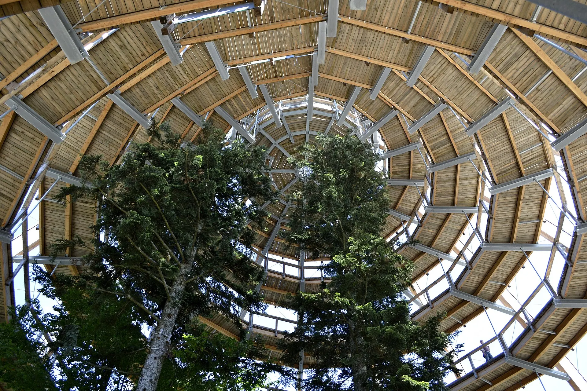 Baumwipfelpfad mit Aussichtsturm in Neuschönau im Bayerischen Wald