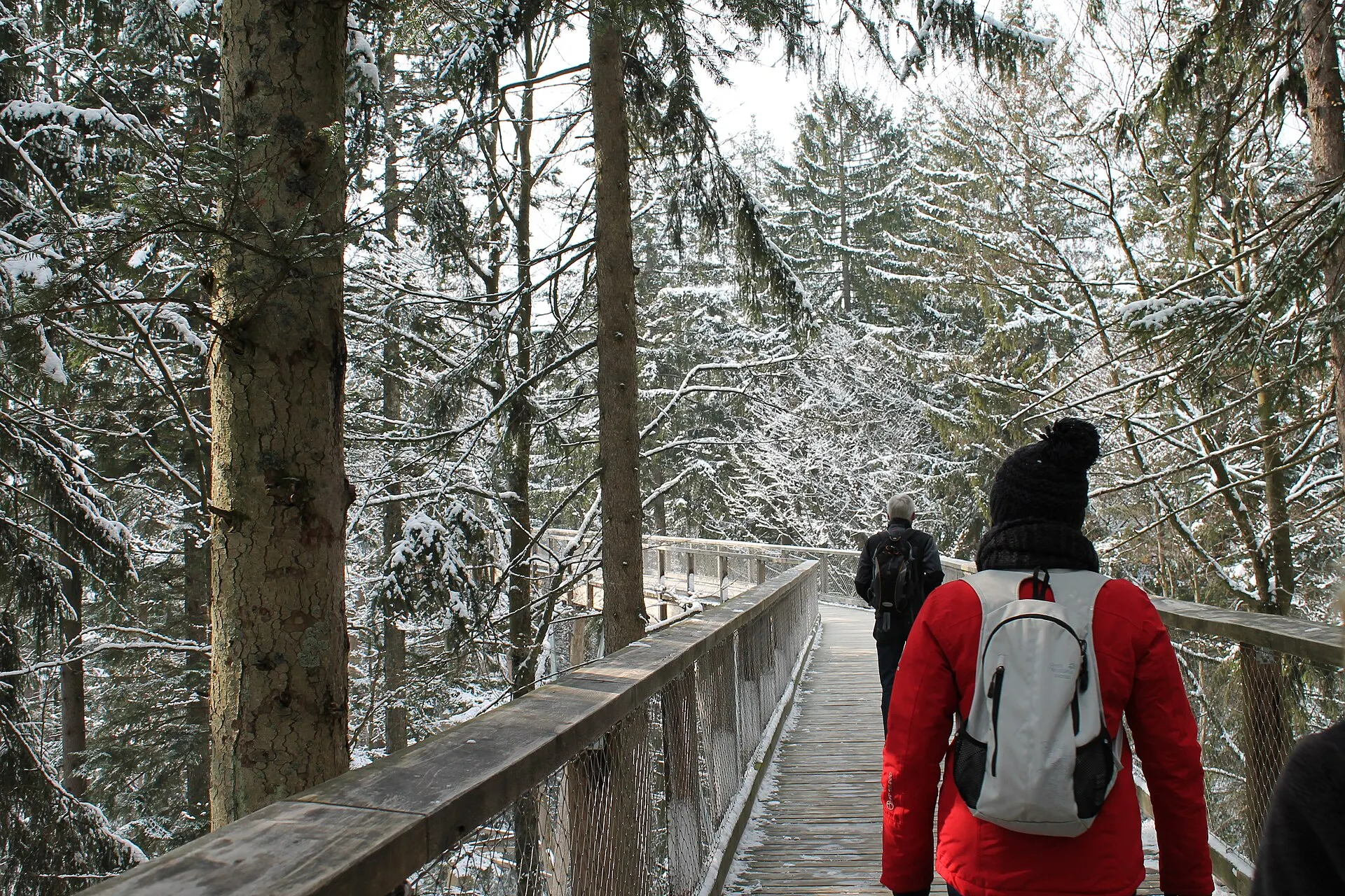 Baumwipfelpfad mit Aussichtsturm im Bayerischen Wald